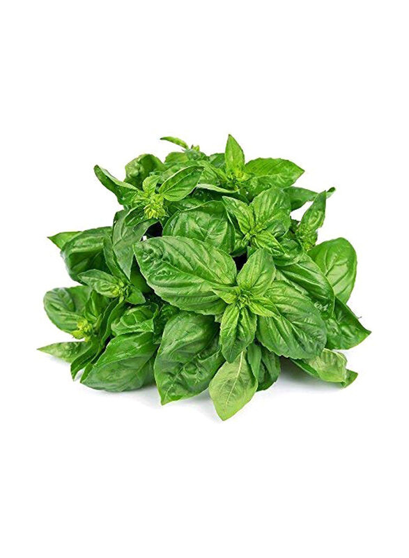 

Generic Organic Basil Leaves, 100g