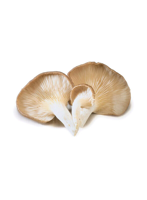 

Generic Oyster Mushroom, 200g