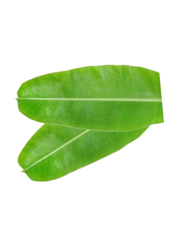 

Generic Banana Leaf, 1 Box