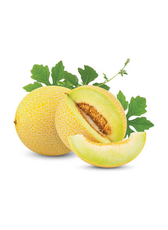 

Generic Iran Whole Sweet Melon, 1 Piece