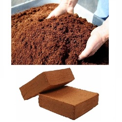 Coco Peat Block & Coco Peat Powder 1 Piece - (4.75 KG)