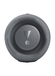 JBL Charge 5 Water Resistant Portable Bluetooth Speaker, Grey