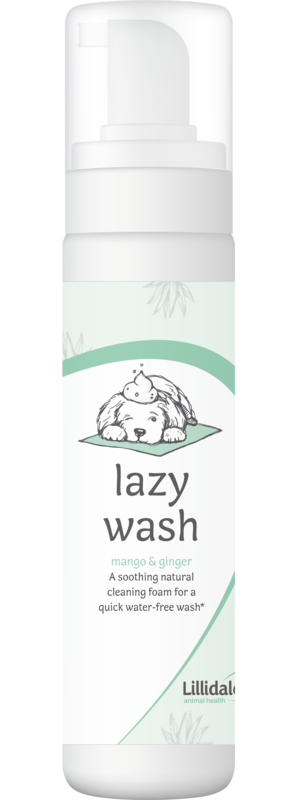 

Lillidale Lazy Wash For Dogs (No Rinse) 200ml