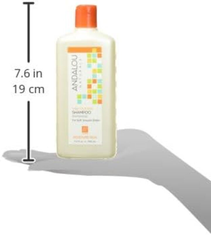 Andalou Naturals Argan Oil & Shea Moisture Rich Shampoo, 340ml