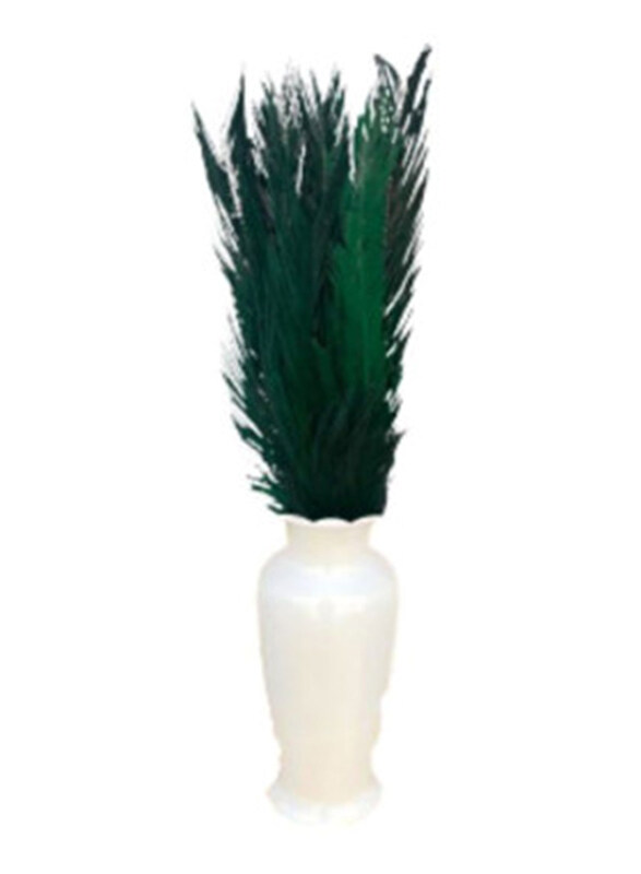 

Eco Flowers 6-Piece Dried Cycas Leaves Vase Filler, Green