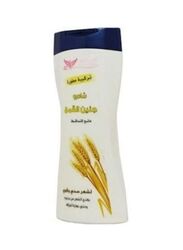 Kuwait Shop Wheat Germ Shampoo, 450ml