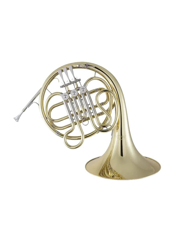 Conn CHR201F Single French Horn, Gold