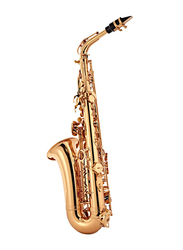 Conn Alto Saxophone, AS650, Copper