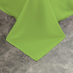 Cotton Home Flat Sheet 100% Cotton, 160 x 220 cm, Green