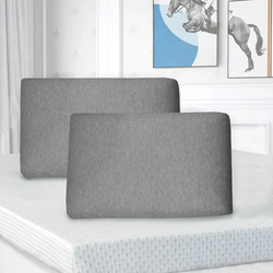 Cotton Home 2-Piece Rest Memory Foam Pillow, 60x40+10cm, Grey