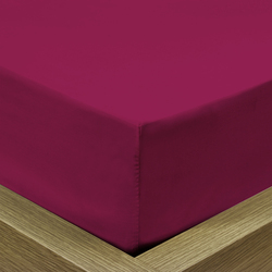 Cotton Home Super Soft Percale Weave Plain Fitted Sheet, 90 x 200 + 20cm, Maroon