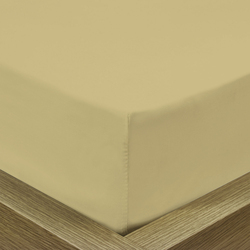 Cotton Home 3-Piece Super Soft Fitted Sheet Set, 1 Fitted Sheet + 2 Pillow Case, Queen, Mustard