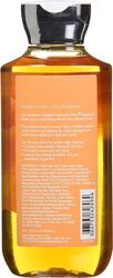 Bath & Body Works Cashmere Glow 10 Oz Shower Gel, 10.0 Ounce