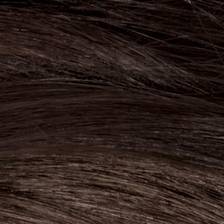 Revlon Colorsilk Hair Color, 20 Brown Black 1 Ea