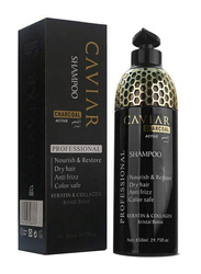 Caviar Charcoal Active Keratin & Collagen Shampoo Hair Care, 850 ml