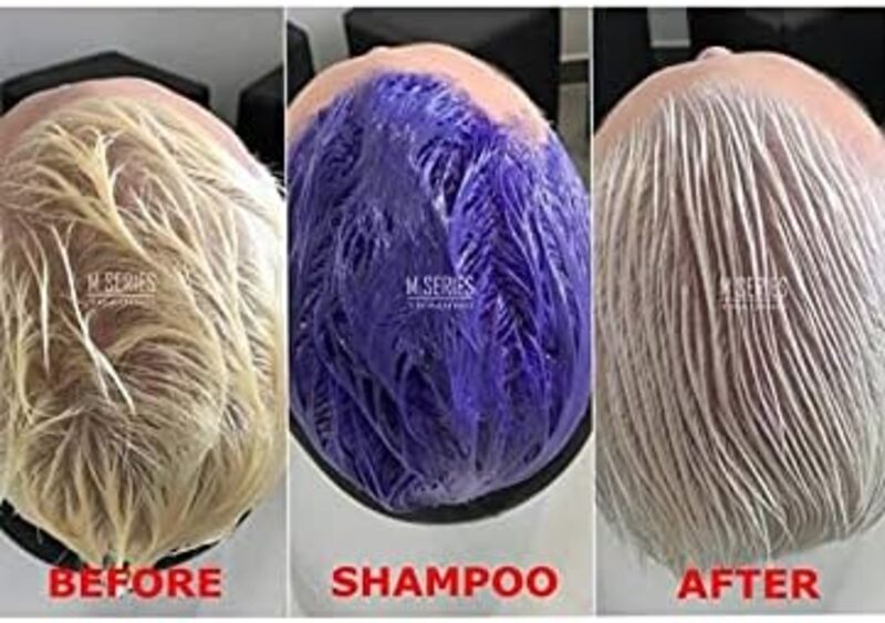 SilverX Hair Silver Shampoo 350 ml