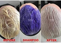 SilverX Hair Silver Shampoo 350 ml