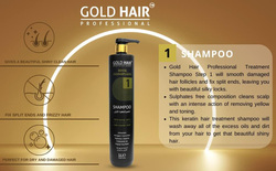 Gold Hair Professional Treatment Shampoo, 1 Liter