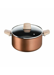 Tefal 24cm Eco Respect Aluminium Casserole with Lid, Brown