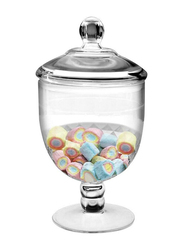 Frexmall 40.5oz Apothecary Jar with Airtight Lid, Clear