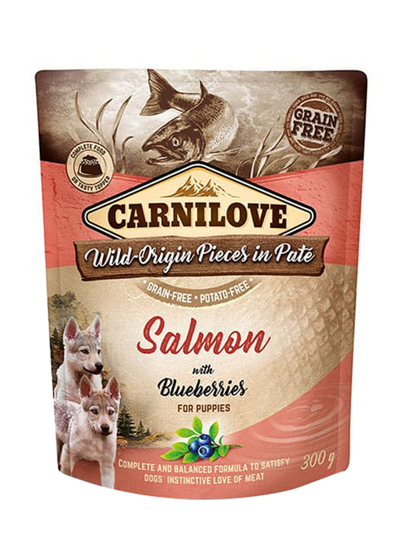 Carnilove Salmon With Blueberries for Puppies Wet Food, 12 x 300gm