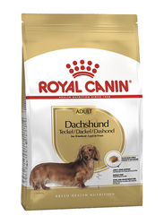 Royal Canin Dry Food for Adult Dogs, Dachshund Breed, 10+ Months, 1.5 Kg