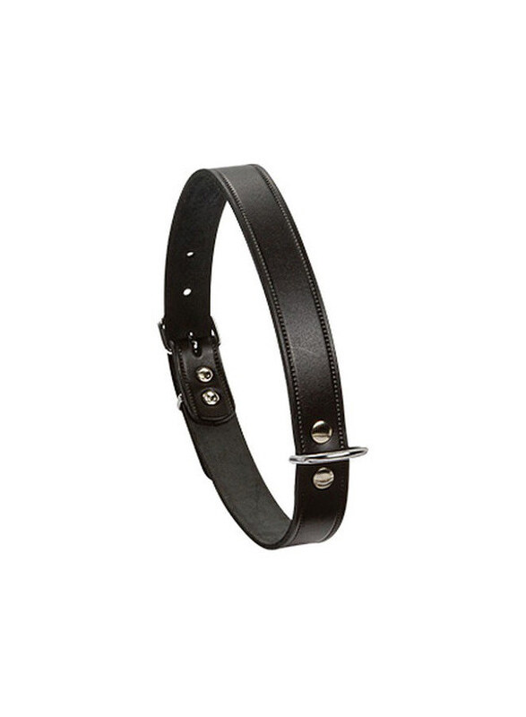 

Beeztees Black Leather Dog Collar, 37 x 1.2cm, Black