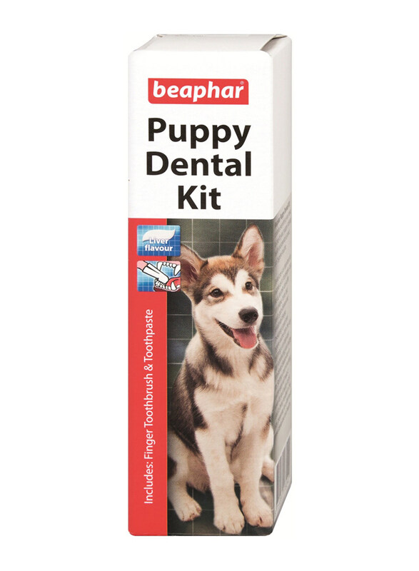 Beaphar puppy best sale dental kit