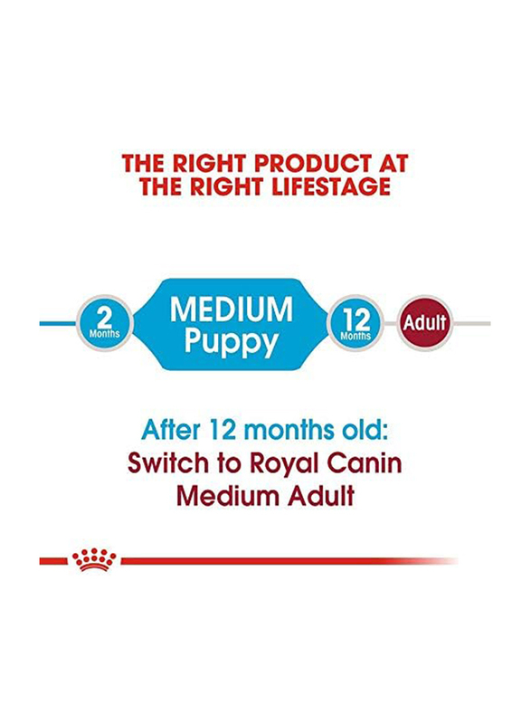 Royal Canin Size Health Nutrition Medium Puppy Dry Food for Up to 12 Months & 11-25kg Dogs, 10 Kg