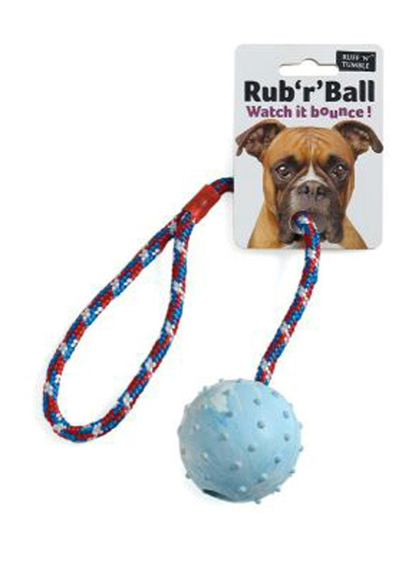 

Sharples Rub 'R' Ball Dog Toy, Multicolour