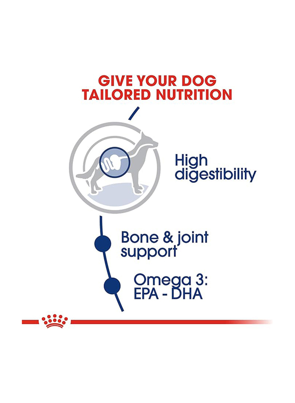 Royal Canin Size Health Nutrition Maxi Size Adult Dog Dry Food for Up to 15+ Months & 26-44kg Dogs, 10 Kg