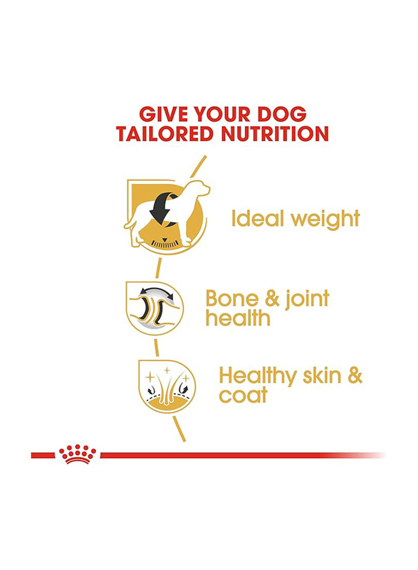 Royal Canin Breed Health Nutrition Labrador Retriever Adult Dog Dry Food for Up to 15+ Months, 12 Kg