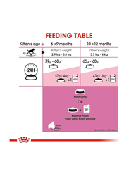 Royal Canin Feline Health Nutrition Second Age Sterilised Cat Dry Food for Up to 6-12 Months Kitten, 2 Kg