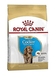 Royal Canin Breed Health Nutrition Cocker Junior Dog Dry Food for Up to 12 Months, 3 Kg