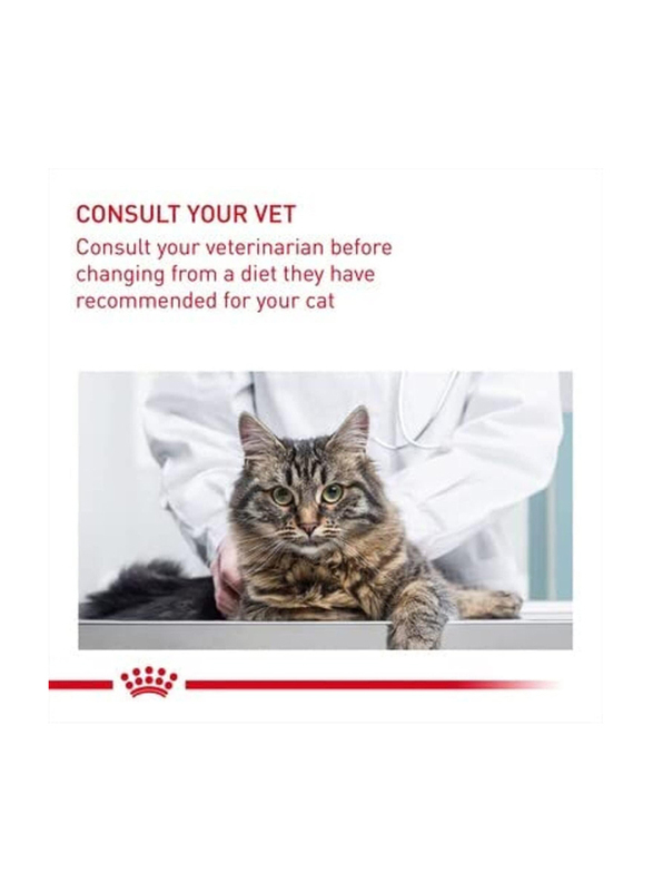 Royal Canin Feline Care Nutrition Urinary to Maintain Healthy Urinary Tract Dry Cats Food, 2 Kg