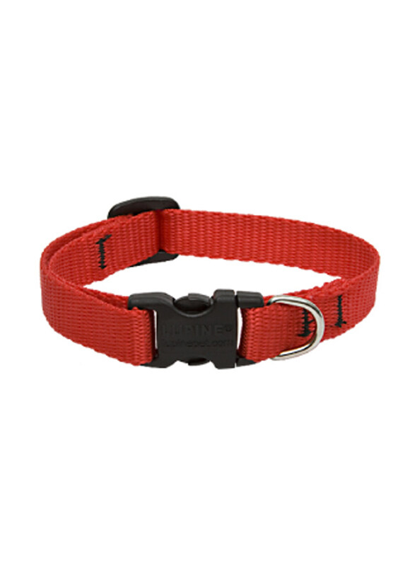 

Lupine Basics Adjustable Dog Collar, 21-30 x 2cm, Red