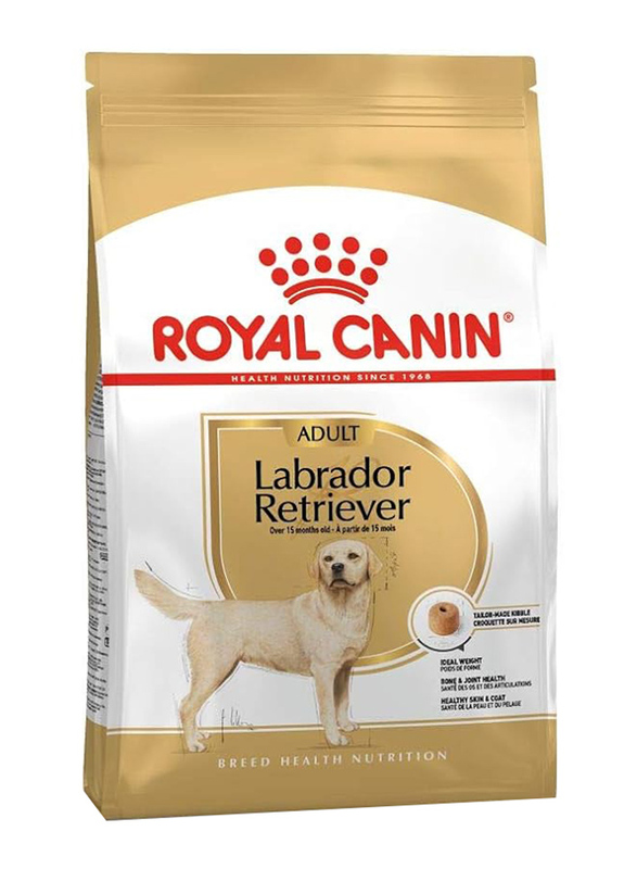 Royal Canin Breed Health Nutrition Labrador Retriever Adult Dog Dry Food for Up to 15+ Months, 12 Kg