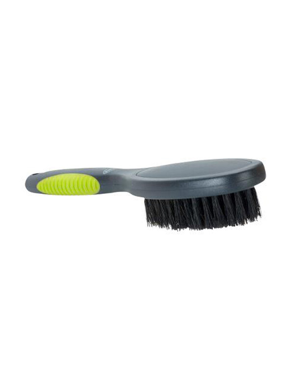 

Buster Boar Hair Bristle Brush for Dogs, Small, Multicolour