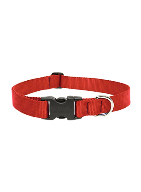 

Lupine Basics Adjustable Dog Collar, 31-50 x 3.5cm, Red