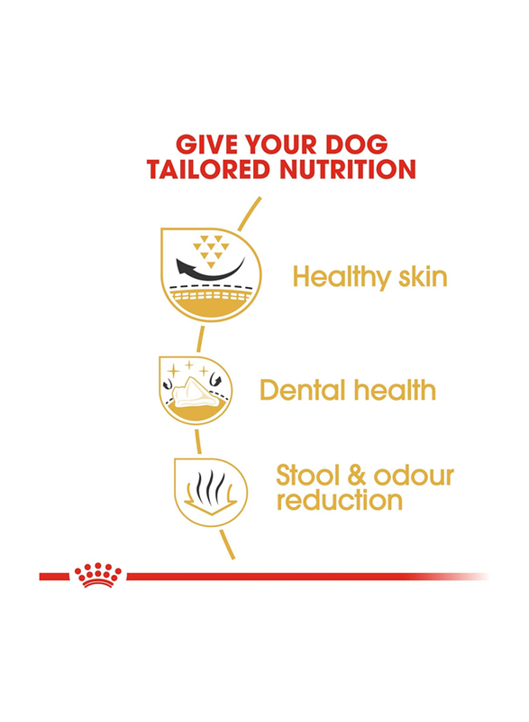 Royal Canin Shih Tzu Breed Dry Dog Food for 10+ Months, 1.5 Kg