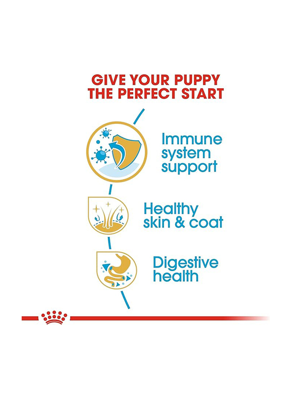 Royal Canin Breed Health Nutrition Shih Tzu Junior Dog Dry Food for Up to 10 Months Dogs, 1.5 Kg