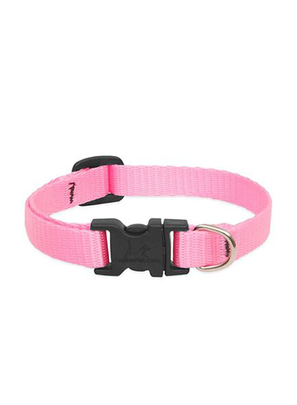 

Lupine Basics Nylon Dog Collar, 26-40cm, Light Pink