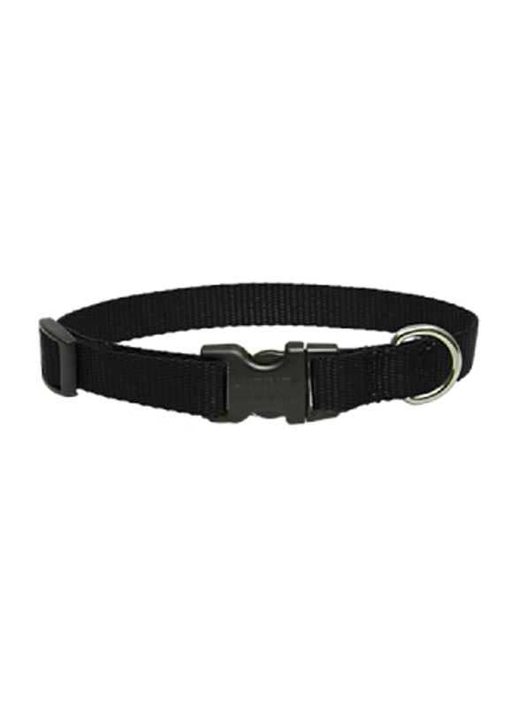 

Lupine Basics Adjustable Dog Collar, 39-63cm, Black