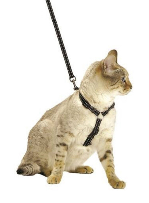 

Bobby Cat Harness with Bell, Extra Small, Black