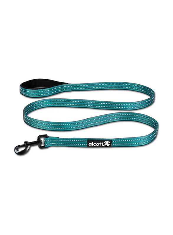 

Alcott Reflective Cushioned Handle Dog Leash, Large, 6 feet, Blue