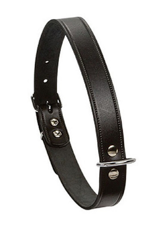

Beeztees 10 x 32cm Cat Collar, Small, Black