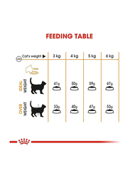 Royal Canin Dry Food for Cat Hair & Skin Care, 10 Kg