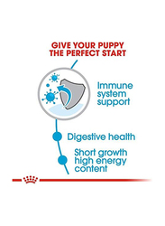 Royal Canin Size Health Nutrition Medium Puppy Dry Food for Up to 12 Months & 11-25kg Dogs, 10 Kg