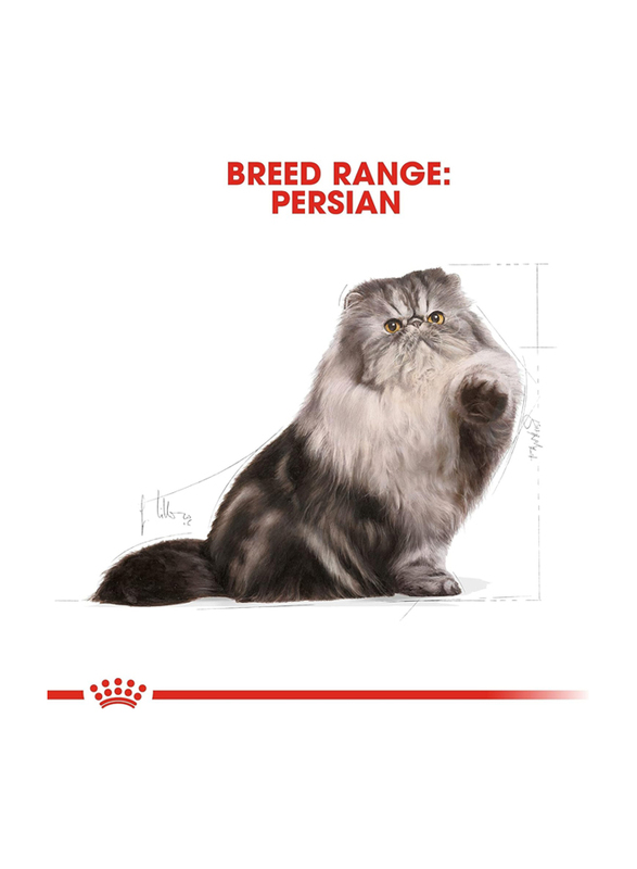 Royal Canin Feline Breed Nutrition Persian Adult Dry Cat Food, 10 Kg