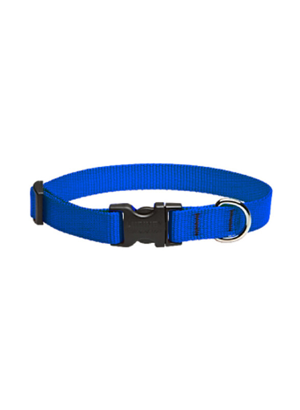 

Lupine Basics Adjustable Dog Collar, 39-63cm, Blue